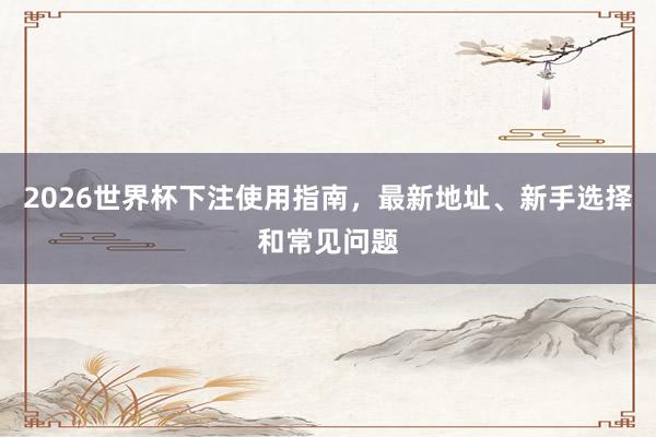 2026世界杯下注使用指南，最新地址、新手选择和常见问题